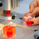 Un pequeño corazón humano impreso en 3D por científicos de la Universidad de Tel Aviv en 2019.